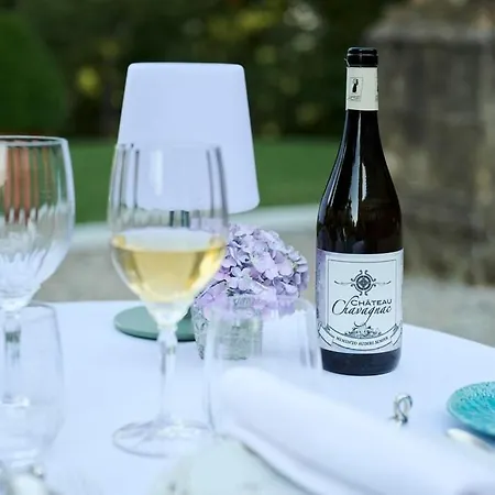 Chateau Chavagnac Lemps (Drome)